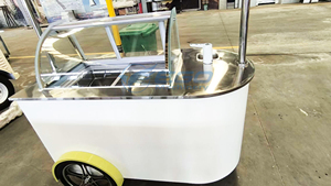 Carrito de Comida Eléctrico EGO de Cero Emisiones, Acero Inoxidable 304/316, Bicicleta para Helados, Camión de Comida Pequeño, Carrito de Postres Móvil, Triciclo Personalizado - Product Image 5