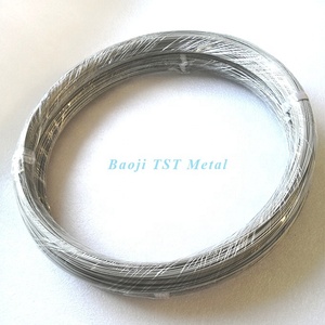 Dây Titan 1Mm Dây Hàn Titan Nguyên Chất <span class=keywords><strong>GR1</strong></span> GR2 Dây Titan Nguyên Chất GR1pure - Product Image 2