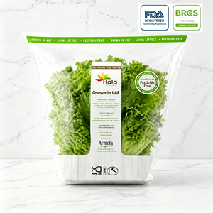 Sacs coniques en CPP imprimés sur mesure en gros avec trous d'aération pour l'emballage de fruits frais - Product Image 1