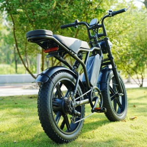 Moto tout-terrain électrique à assistance au pédalage <span class=keywords><strong>fatboy</strong></span> sous garantie, mise à niveau de vélo partagé - Product Image 2