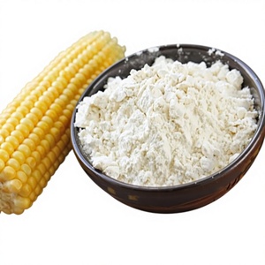 Amidon de maïs indien non OGM de qualité export pour usage alimentaire et industriel - Product Image 1