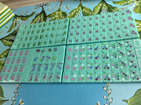 Dikirim Dalam Waktu 5 Hari Set Mahjong Premium Hijau Mint dengan Lingkaran & Naga Berwarna-warni Lengkap dengan Ubin Angin NEWS Hiburan