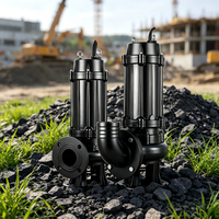 WQ SS304 Tauchmotor-Abwasserpumpe 5 PS 50m/164ft Förderhöhe DN50 Flansch OEM Abwasser-Entwässerungspumpe 3-Phasen Energieeffizient Hochleistung