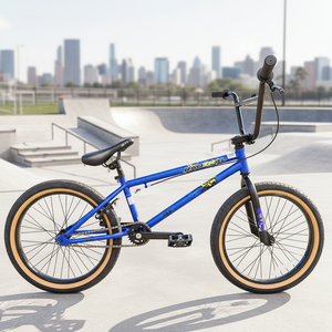 จักรยาน BMX สำหรับผู้ใหญ่แบบสปอร์ตกลางแจ้ง ขนาด 20 นิ้ว โครงเหล็กโครเมียม-โมลิบดีนัมแข็งแรง ผลิตตามสั่งจากโรงงาน ราคาประหยัด - Product Image 6
