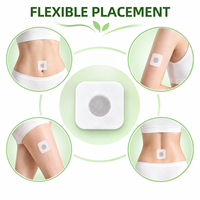 Patch Minceur Magnétique OEM pour Nombril, Marque Privée, à Base de Plantes, pour Perte de Poids, Brûle-Graisse Abdominale, Hydratant, Autocollant pour Points d'Acupuncture Corporels