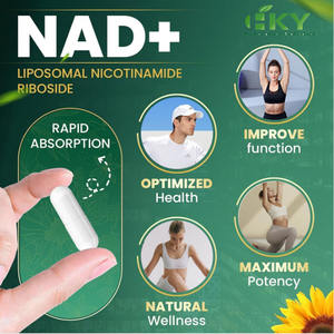 Kapsul Liposomal NAD+ Grosir, Suplemen Ekstrak Herbal Resveratrol Khusus, Kapsul Niacinamide Mononukleotida - Product Image 2