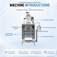 Machine d'emballage automatique pour sachets stick scellés à l'arrière de 10g et 15g pour poudre de protéines, probiotiques et vitamines