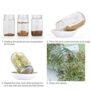 Soporte de germinación para tarros de cultivo, cubierta de malla de acero inoxidable, botella de vidrio tipo Mason para cultivo de tejidos vegetales - Product Image 3