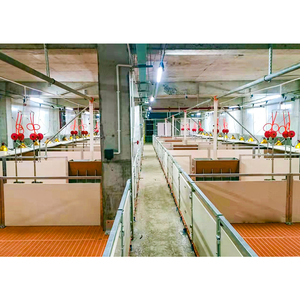<span class=keywords><strong>Vente</strong></span> directe usine : Équipement agricole personnalisé – Différents types <span class=keywords><strong>de</strong></span> cages <span class=keywords><strong>de</strong></span> nurserie et caisses <span class=keywords><strong>de</strong></span> sevrage - Product Image 3