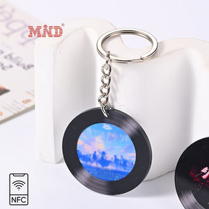 공장 가격 RFID NFC 블랙 비닐 레코드 키링 음악 키체인 미니 CD 앨범 NFC 키체인 - Product Image 5