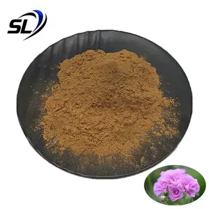 Pelargonium Natural Geranium Extract Powder Pelargonium Hortorum Bailey Extract Powder