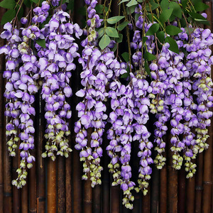 Bouquet de fleurs artificielles de glycine à 6 branches en soie pour décoration de plafond de mariage, mur de hall d'hôtel - Product Image 3