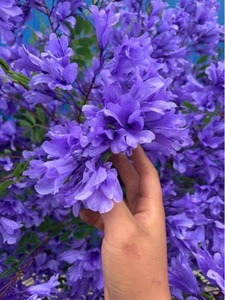 Promotion : Arbre artificiel en fleurs de soie, cerisier violet, centre de table pour décoration de mariage - Product Image 5