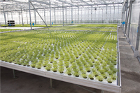 Banc de travail roulant à flux et reflux à haut rendement et faible consommation d'énergie pour légumes, fruits et fleurs, avec structure stable en acier et aluminium