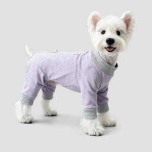 Sonbahar Kış Nefes Alabilen Rahat Alt Katman Yavru Köpekler Sıcak Köpek Giyim Klasik Teddy Bichon Schnauzer Sevimli Dört Ayaklı - Product Image 4