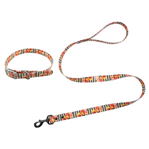 Collar/Correa de plástico impermeable de PVC, Correa reflectante recubierta de PVC, Correa/collar para perro recubiertos de TPU - Product Image 2