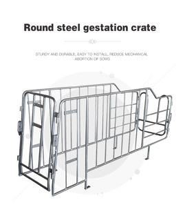 Domuz hayvan kafesleri için yeni tasarım yuvarlak çelik Gestation sandık Columbia için güney amerika pazarı için özel - Product Image 4