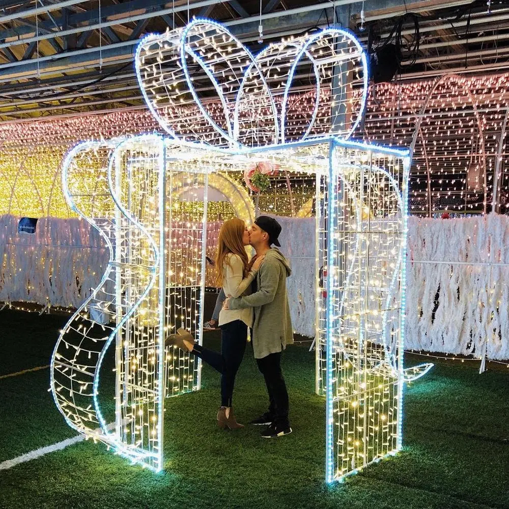 3D LED אריזת מתנה מוטיב אורות חיצוני חג המולד מסחרי תצוגה