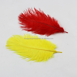 Vente en gros de plumes d'autruche pelucheuses teintes de 20 à 25cm pour l'artisanat et le mariage, vase de carnaval, décorations pour événements et fêtes - Product Image 6
