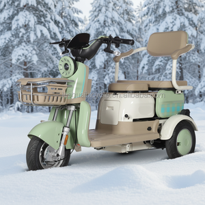 Wholesale 48v High Quality Adults Battery Powered Electric Tricycles 3 Wheel <strong>Trike</strong> <strong>for</strong> <strong>Sale</strong> - Product Image 6