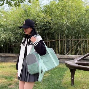 Transportín para mascotas de tela suave, impermeable y transpirable, gran capacidad para gatos y perros, color gris, azul, verde, forma cuadrada - Product Image 1