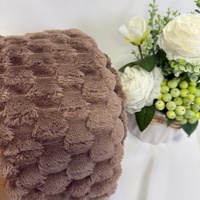 Couverture Polaire Douce et Chaude en Flanelle pour Hiver, Idéale pour Canapé, Lit ou Décoration Intérieure – Vente en Gros