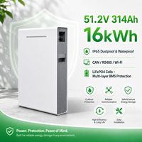 Batterie au lithium LiFePO4 51,2 V 16 kWh 314 Ah, prix d'usine compétitif, idéale pour les importateurs et les revendeurs B2B de stockage d'énergie solaire