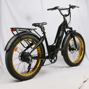 Ul Ce Gecertificeerde Fabriek Direct Te Koop Super Power Dual 500W \ 750W Elektrische Fat Bike Met Shimano 7 Speed Gear Te Koop