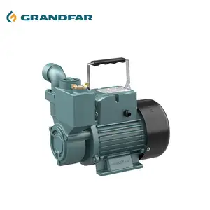 GRANDFAR New Design Wholesale High Quality 220V 42m head Automatic Household Self Priming AC Water Pump