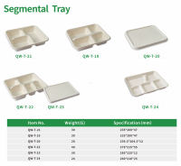 Assiette repas biodégradable à 5 compartiments, écologique, recyclable, compostable, sans BPA, en bagasse blanche (vente en gros)