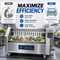Industriële multifunctionele groente- en fruitreinigingsmachine met rolborstel, SUS 304 food grade materiaal, PLC kerncomponenten