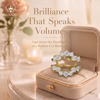 OEM ODM Bague de mariage pour femme en argent 925 plaqué or jaune 18K avec moissanite ronde, double bande et anneau de protection, vente en gros