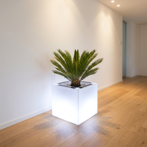 Pot de fleurs LED solaire extérieur grand format, éclairé, carré, IP65, télécommande, résistant à l'eau, 40x40x40cm, blanc chaud - Product Image 1