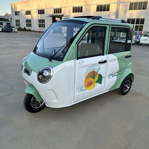 Electric 24V <b>2</b> <b>Passenger</b> Closed Mini Tricycle Three Wheels Brushless Motor Lead-acid Battery 50-60km/h Speed - Product Image 4