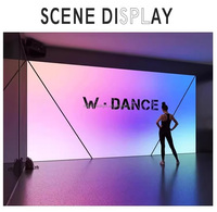 Bande LED flexible 250*500MM DC24V 200 LED/pièce avec IC adressable 5050, panneau rétroéclairé à pixels marbrés avec USB pour l'éclairage paysager