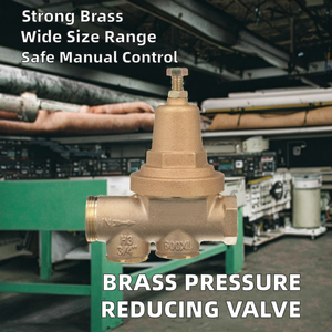Válvula Reductora de Presión de Latón Forjado de 1/2"-2" Manual para Agua con Control de Seguridad y 3 Años de Garantía - Product Image 2