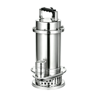 Pompe submersible à eau propre basse pression en acier inoxydable Q(D)X-SB, fabrication OEM, raccord fileté BSP, livraison directe usine