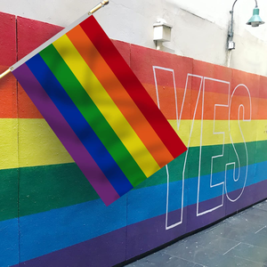 Bandera Arcoíris de 3x5 pies al por Mayor de Fábrica, Bandera LGBT Económica de Satén, Plástico y Poliéster, Impresión Digital, Asta de Fibra de Vidrio - Product Image 5