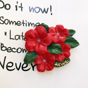 Khuyến mãi tùy chỉnh chế biến của từ 3D in tủ lạnh dán nam châm lưu niệm du lịch lưu niệm - Product Image 6