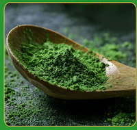Poudre d'herbe d'orge Feuilles d'orge jeunes Farine d'orge de haute qualité Grain entier pour la fabrication du pain Service de marque privée