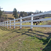 Clôture pour chevaux en PVC durable, résistante à la décoloration, sans entretien, dimensions et couleurs personnalisables, ferme, enclos équin, extérieur, nature, modélisation 3D