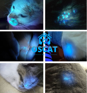 Dermatoscopio Veterinario OSCAT di Alta Qualità, Riutilizzabile, Portatile per Esami Dermatologici su Cani e Animali Domestici - Product Image 4