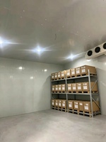 Chambre froide commerciale, congélateur, chambre froide de réfrigération, chambre froide industrielle