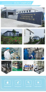 工場供給 シソ種子エキス粉末 ガランガルエキス - Product Image 5