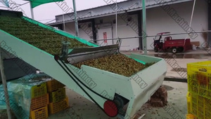 Essiccatore per Residui di Soia, Pomace di Mela, Uva, Oliva, Residui di Birra/<span class=keywords><strong>Vinaccia</strong></span>, Scarti di Uva - Product Image 6