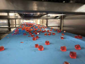 Machine à former des bonbons gélifiés pour enfants / Ligne <span class=keywords><strong>de</strong></span> dépose <span class=keywords><strong>de</strong></span> hamburgers gélifiés - Product Image 4