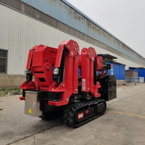 Dual Power Outrigger Support 3t 10m External Power Source Good Price Various Terrains Crawler Spider <strong>Crane</strong> - Product Image 6
