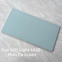 Carrelage en céramique de couleur unie mate 300x600mm 10mm d'épaisseur Antidérapant pour murs/sols pour la décoration de salles de bain et de cuisines de luxe