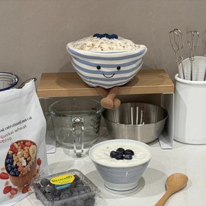 Koleksi Makanan Baru Boneka Mainan Lucu Mangkuk Oatmeal Blueberry Isi Kapas PP Plastik untuk Usia 0-24 Bulan Stok Grosir - Product Image 2
