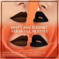 Rouge à lèvres mat Gothique Nourrissant Anti-transfert Imperméable Longue tenue Noir Café Halloween 2 Teintes OEM ODM Marque Privée